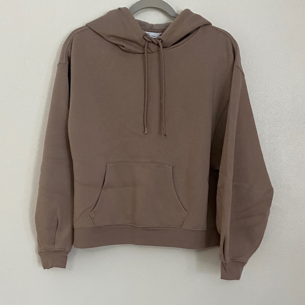 DSG Women's Brown Hoodie Sweater